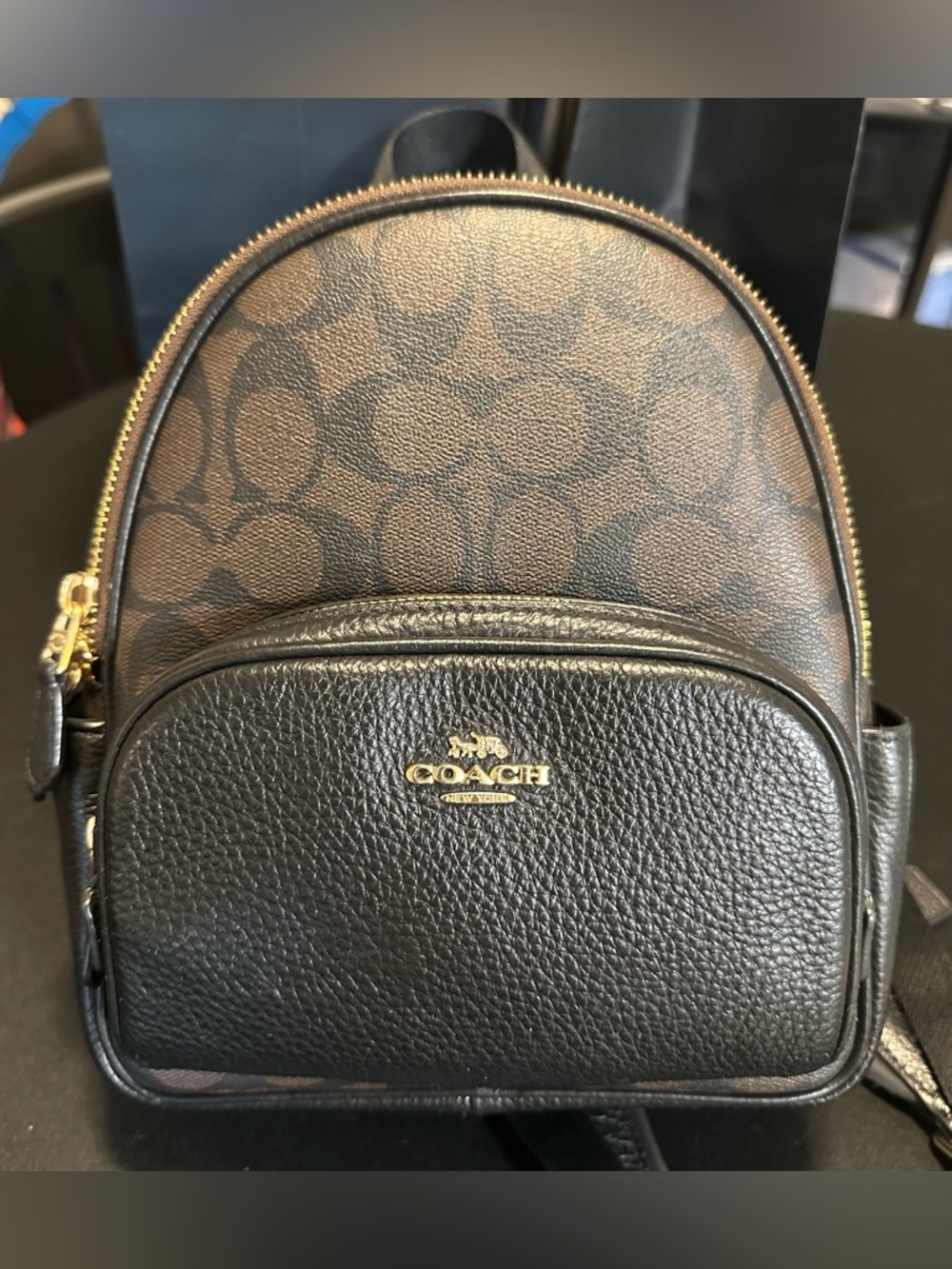Coach C8604 Mini Court Backpack In Brown Black